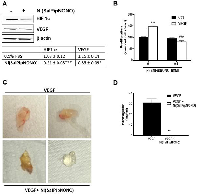 Ni(SalPipNONO) has antiangiogenic activities.