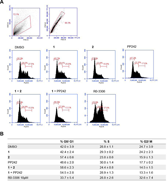 Flow cytometry analysis of the effect of MNKI-19, 191.3 and PP241 both as single agents and in combination (5 &#x03BC;M) on cell cycle progression.
