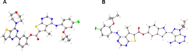 Crystal structures of hybrid agents.