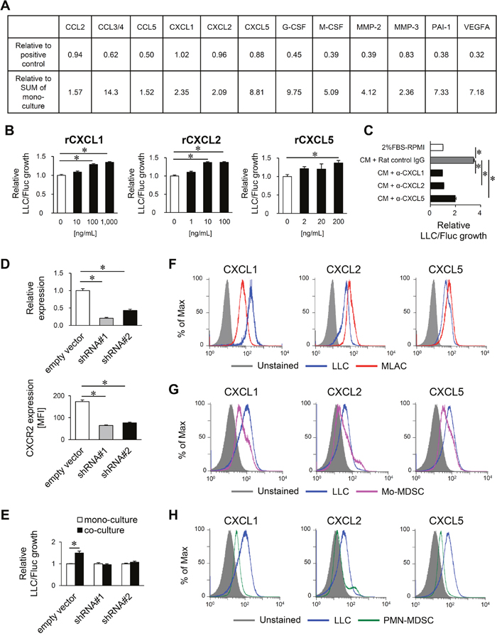 MLACs promote tumor growth via CXCL1/2/5/CXCR2 signaling.