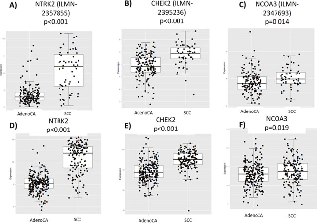 Differences in gene expression by histology in the PROSPECT and TCGA databases.