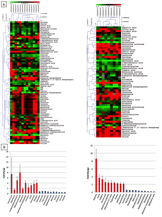 Metabolomic profile of EXPEL extruded fluids from CRC and CRC-LM.