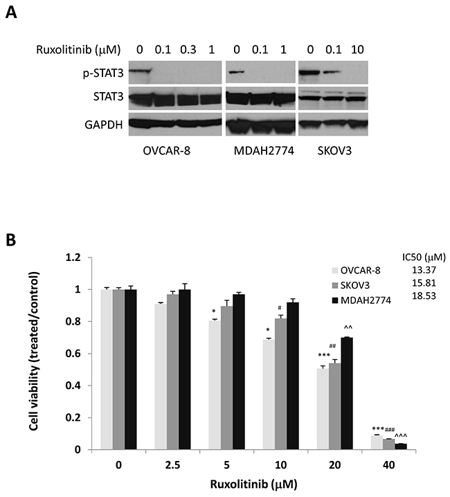 Anti-tumor activity of ruxolitinib in ovarian cancer.