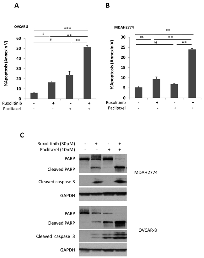 Ruxolitinib enhanced paclitaxel-induced apoptosis in human ovarian cancer cells.