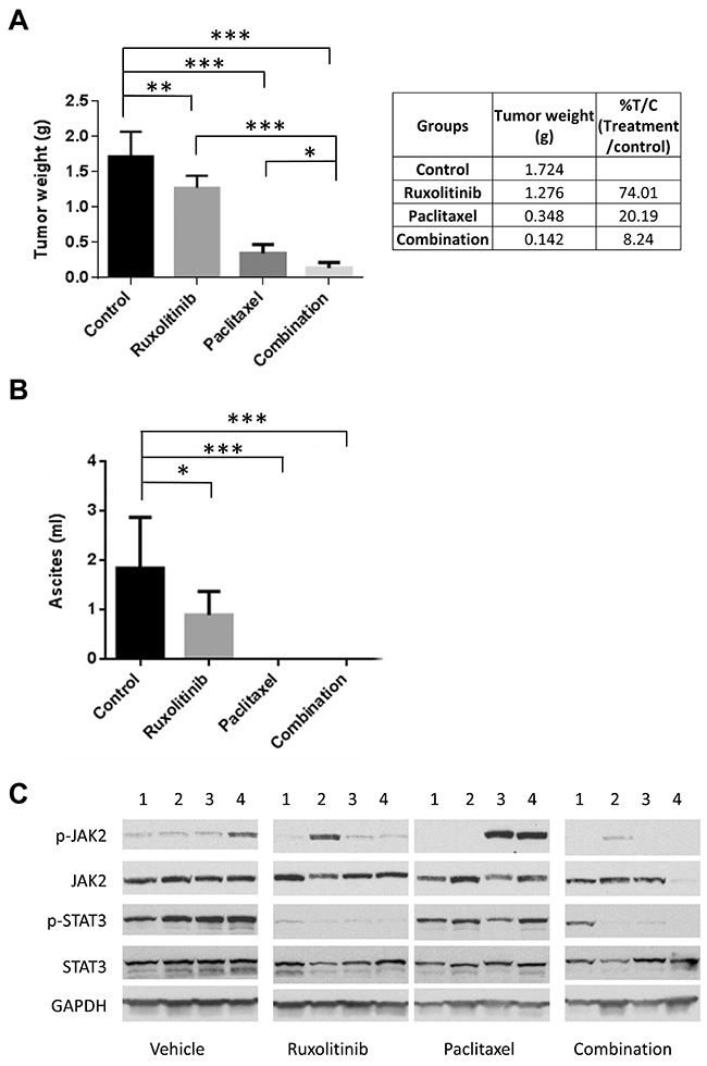 Ruxolitinib enhanced anti-tumor activity of paclitaxel in mice.