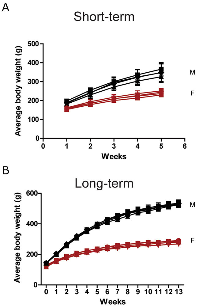 Body weight of SD rats in the oral toxicity study of CSP.