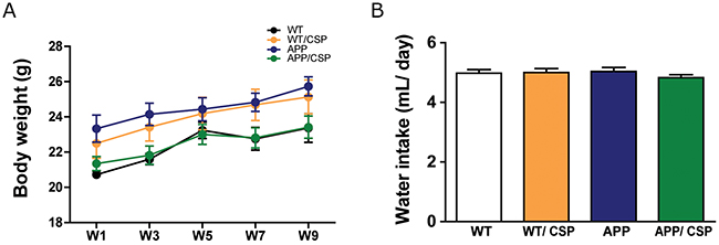 Body weight and water intake of WT and APP mice during CSP treatment.