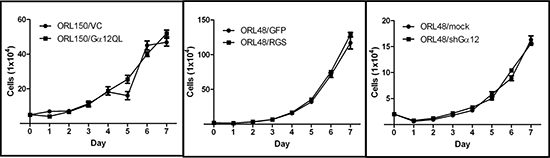 G&#x03B1;12 is not involved in regulating OSCC proliferation.
