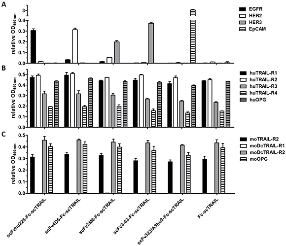 Binding to target proteins in ELISA.