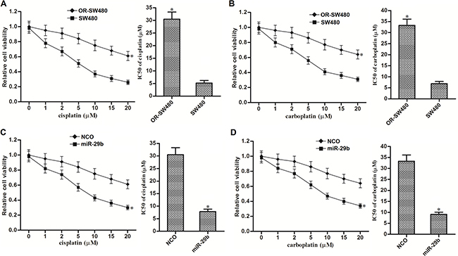 MiR-29b reversed cross-resistance of OR-SW480 cells to platinum-based treatment.