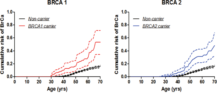 Breast cancer penetrance estimates by the modified kin-cohort method using data from first-degree relatives of probands who carry BRCA1 or BRCA2 mutations from Hong Kong Hereditary and High Risk Breast Cancer Programme.