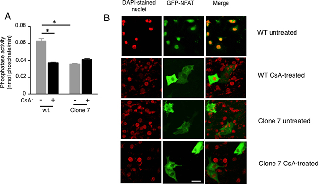 Figure 3: