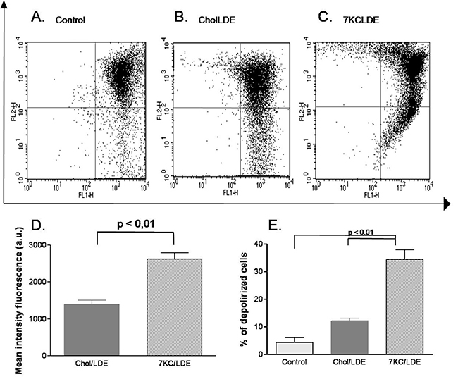 Effects of 7KCLDE on mitochondrial transmembrane potential (&#x0394;Ym) in B16F10 cells.