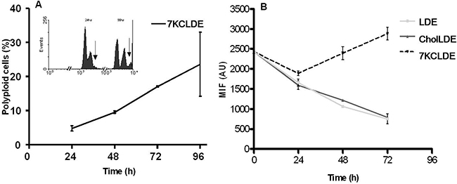 LDE7KC-induced polyploidy, associated with impaired cytokinesis.