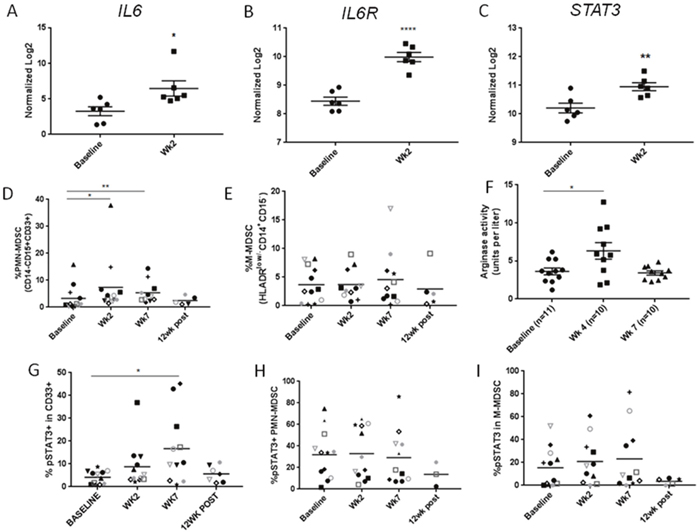 The accumulation of PMN-MDSCs with STAT3 activity in HNSCC patients after CMT.