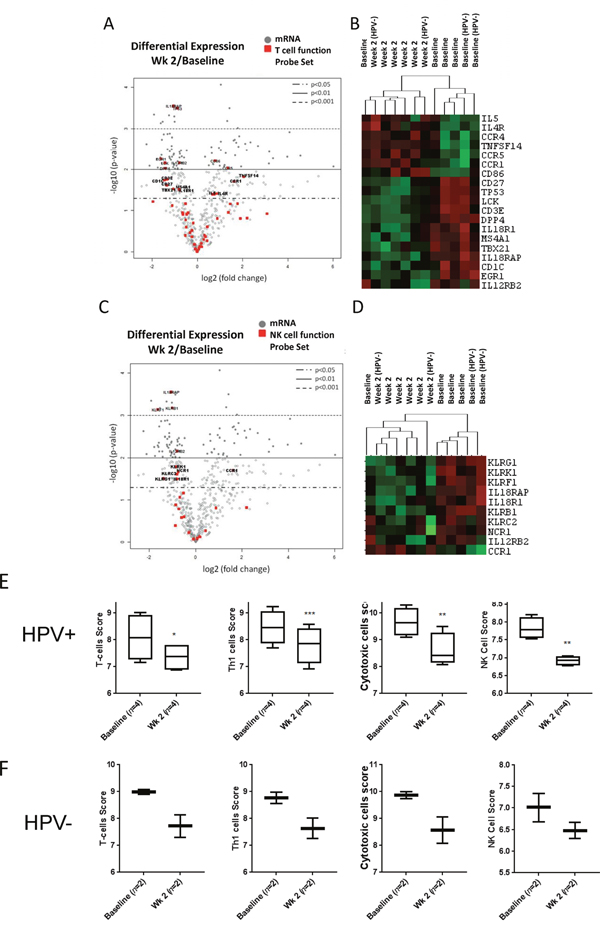 Decreased expression of genes for T cell and NK cell function.