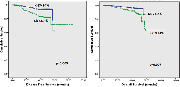 Kaplan-Meier disease free survival and overall survival curves of patients with tumours exhibiting Ki67 of &#x003C;14% and &#x2265;14% in ER positive tumours only.