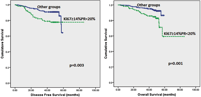 Kaplan-Meier disease free survival and overall survival curves of patients with tumours exhibiting an immunoprofile of Ki67&#x2265;14%PR&#x003C;20% (Luminal B) compared with other immunoprofiles in all tumours.