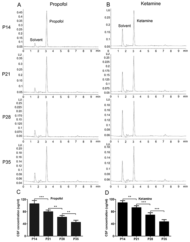 Cerebrospinal fluid (CSF) concentrations of propofol and ketamine needed to produce the same LORR decreased with increasing age of mice.