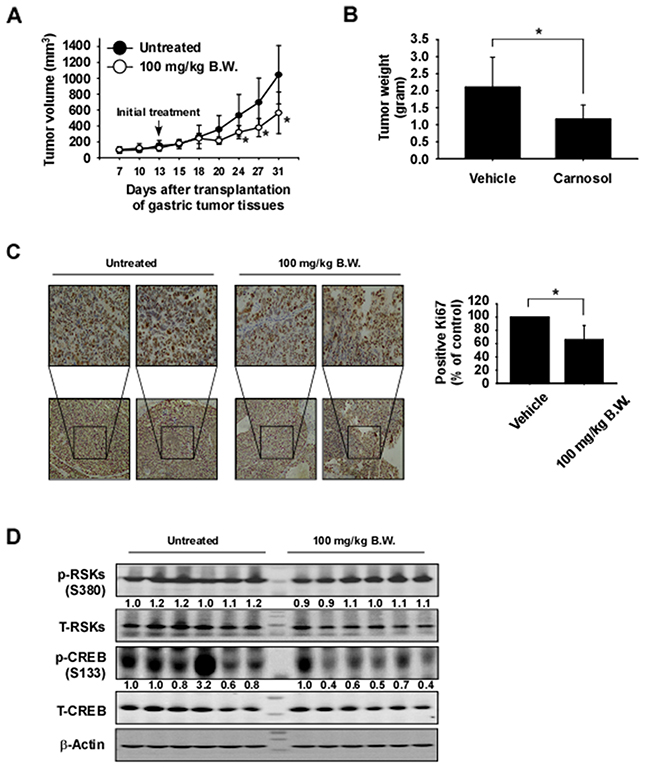 Carnosol attenuates gastric cancer patient-derived xenograft tumor growth in vivo.