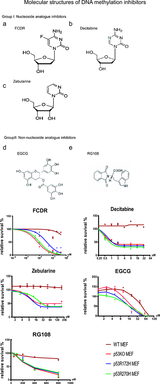 Cell Viablility Assay for five demethylation drugs in MEFs.