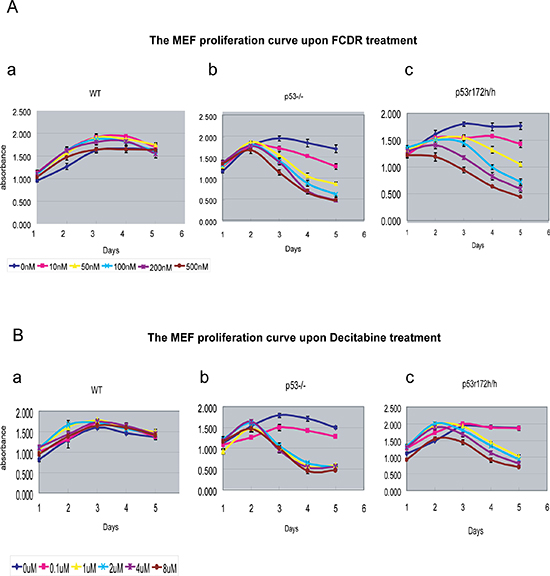 The MEF cell proliferation plots with 5 day time-trace and to gradient dosages of FCDR and Decitabine.