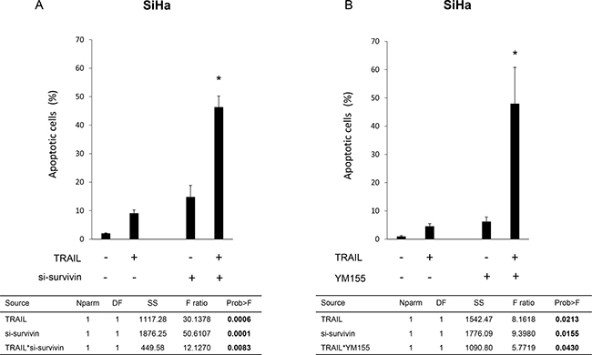 Effects of survivin suppression on TRAIL-induced apoptosis in TRAIL-resistant SiHa cells.