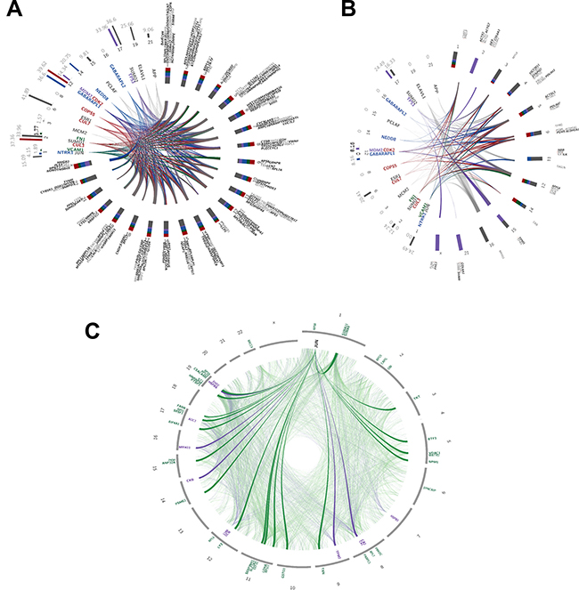 Interaction network analysis.