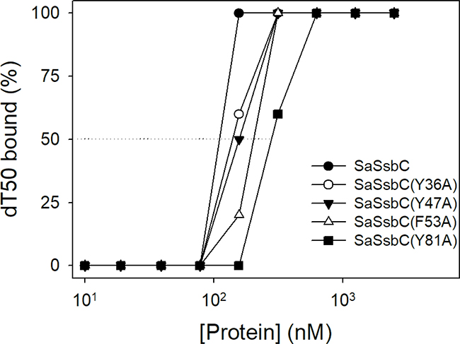 Mutational analysis of SaSsbC for ssDNA binding.