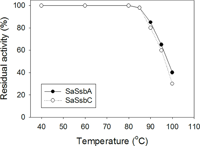 The thermostability of SaSsbC.