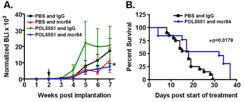Combined mcr84 and LD-POL5551 blocks brain tumor growth and increases survival