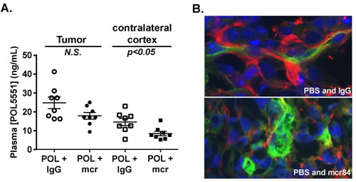 VEGF blockade with mcr84 enhances vascular barrier functions.