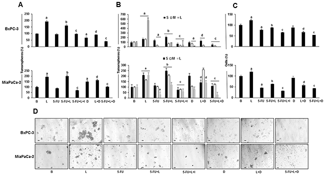 Leptin increases the number and size of 5-FU treated tumorspheres.