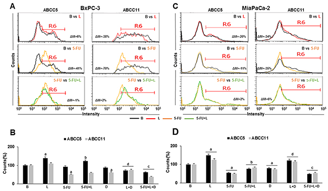 Leptin increases ABCC5 and ABCC11 expressing cells in 5-FU treated- tumorspheres.