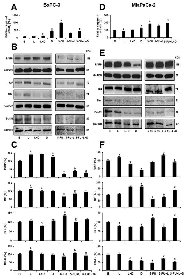 Leptin impairs 5-FU induced Caspase-3 activity and apoptosis- related proteins in 5-FU treated- tumorspheres.