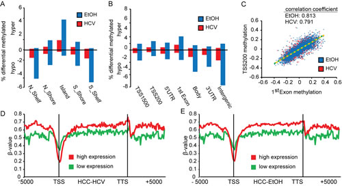 Distribution of DNA methylation changes across genomic features.