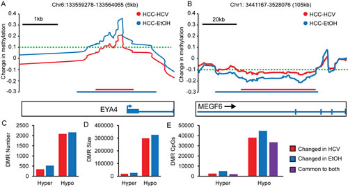 Differentially methylated regions (DMRs) in hepatocellular carcinoma.