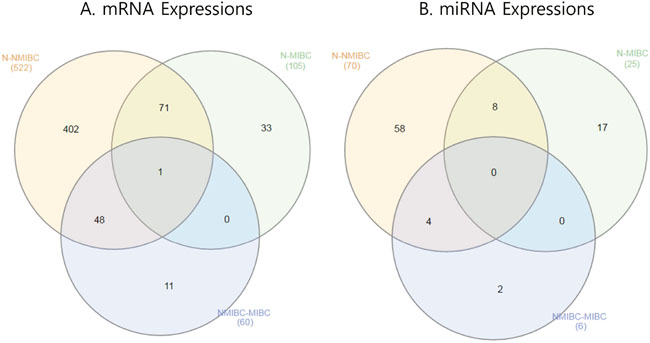 Venn diagram showing mRNAs and miRNAs differentially expressed in BC.