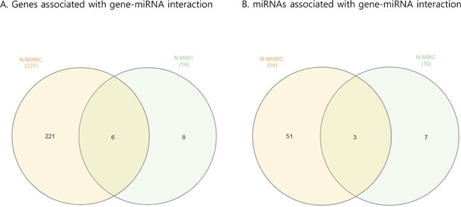 Venn diagram showing paired gene and miRNA in BC.