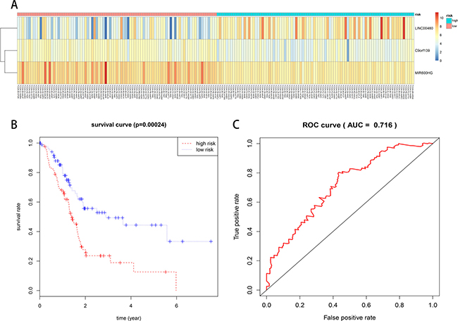 Prognostic evaluation of the 3-lncRNA signature in PAAD patients.