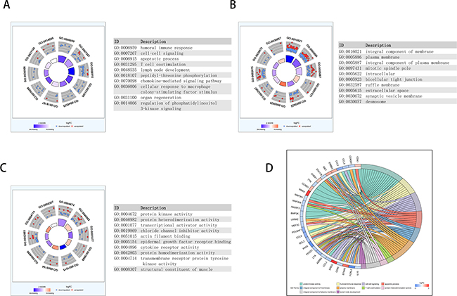 Functional analysis of key lncRNAs in PAAD.