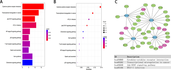 KEGG pathway functional enrichment analysis of lncRNA-related DEMs in the network.