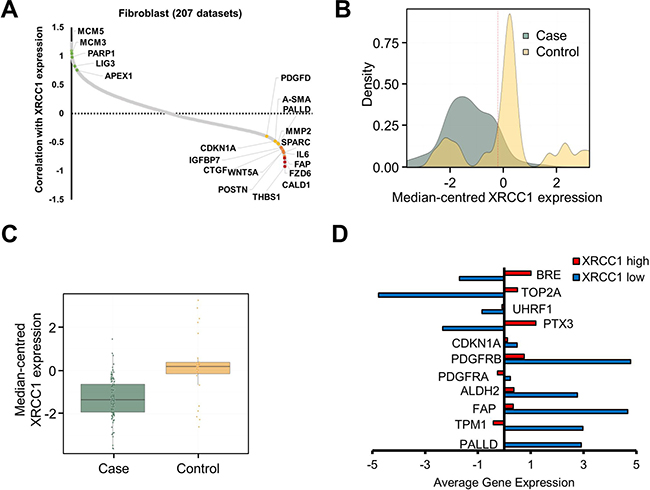Expression of BER genes in clinical stroma samples negatively correlates with CAF markers.