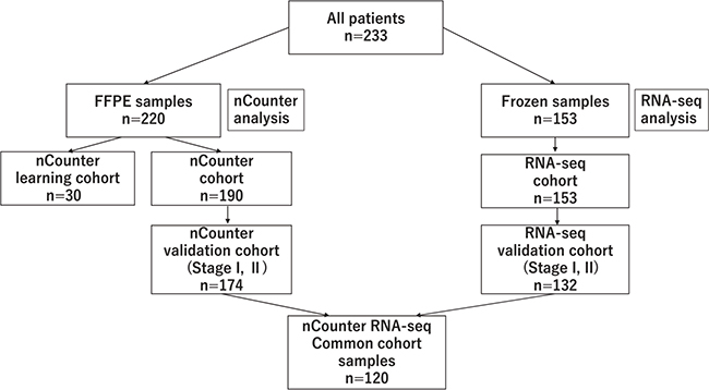 Details of the cohort, shows the flow chart of the breakdown of patients analyzed with nCounter and RNA-seq.