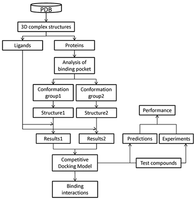 Overall modeling scheme.