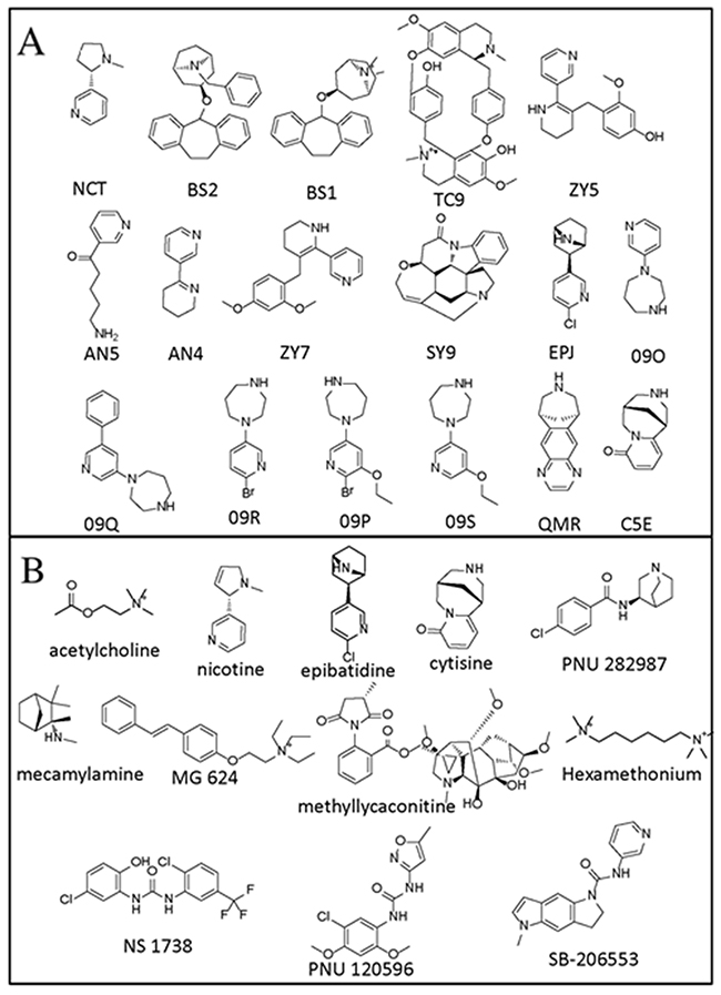 Structures of the compounds.