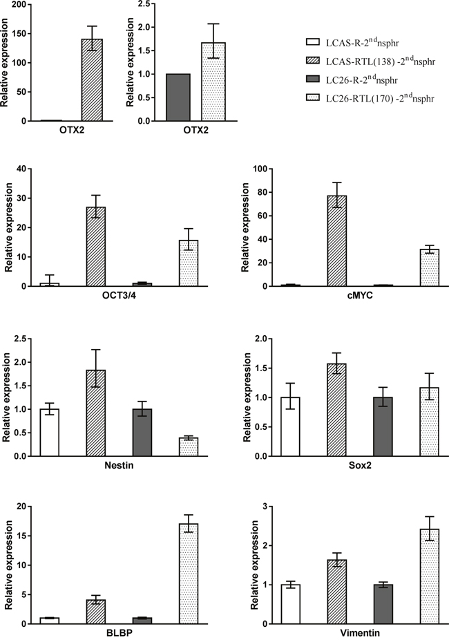 RT-PCR analysis.