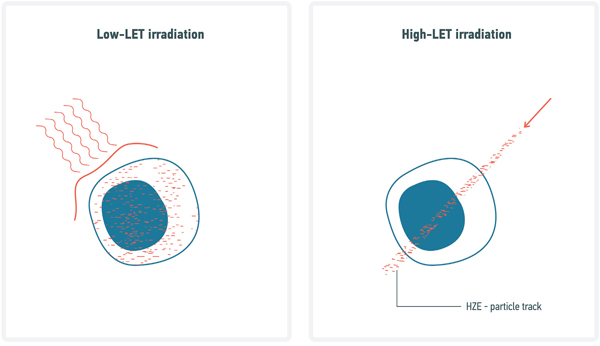 Comparative diagram on DNA damage induced by Low- and High-LET radiation.