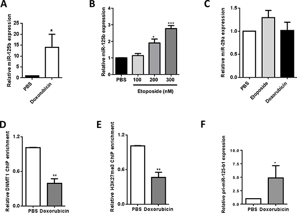 DNA methytransferase I and DNA topoisomerase II are mediators of miR-125b silencing in NPM-ALK-positive ALCL cells.