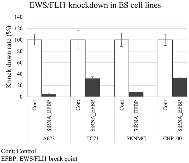 IRE1α-XBP1 inhibitors exerted anti-tumor 
